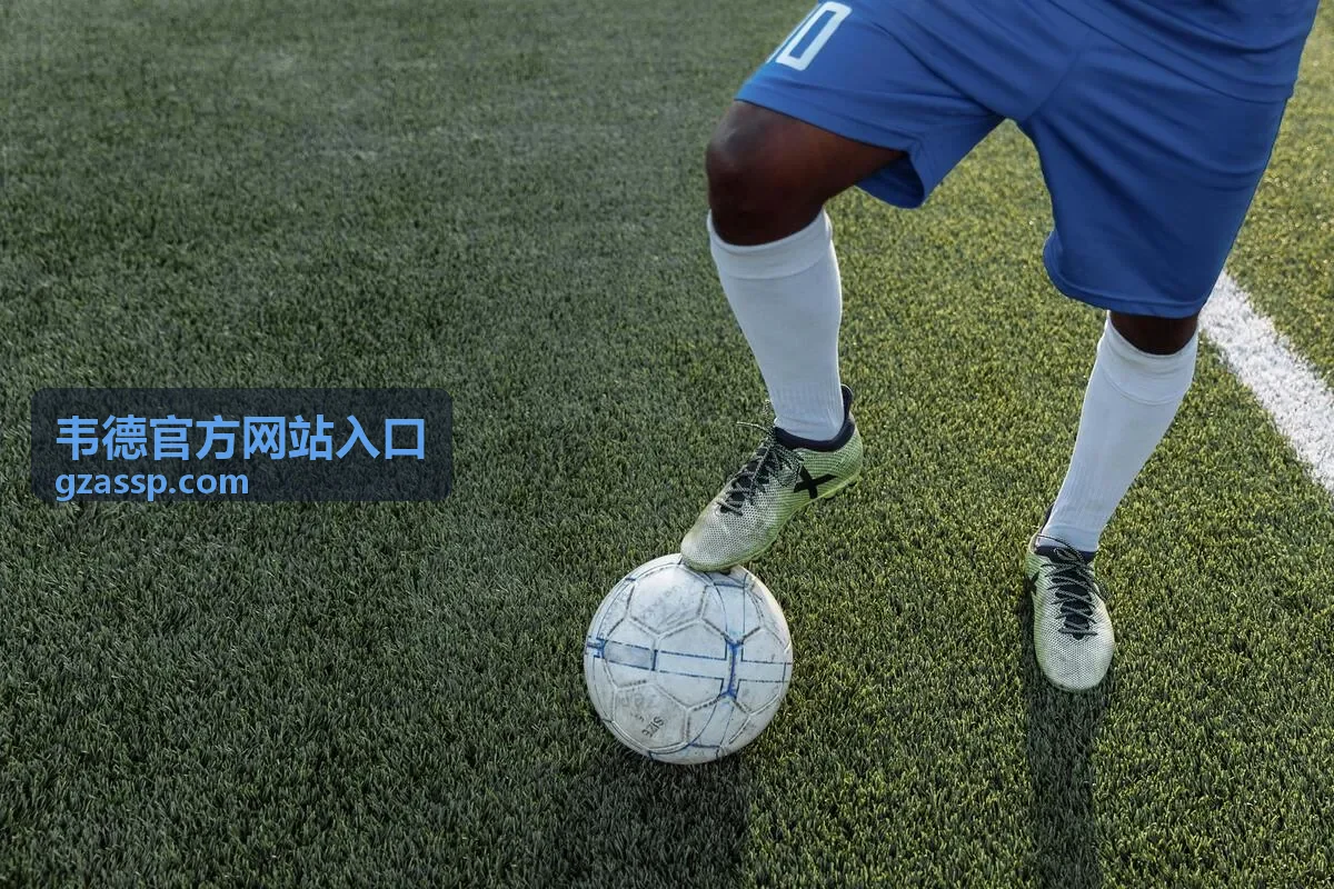 韦德官方网站入口特邀嘉宾张先生
